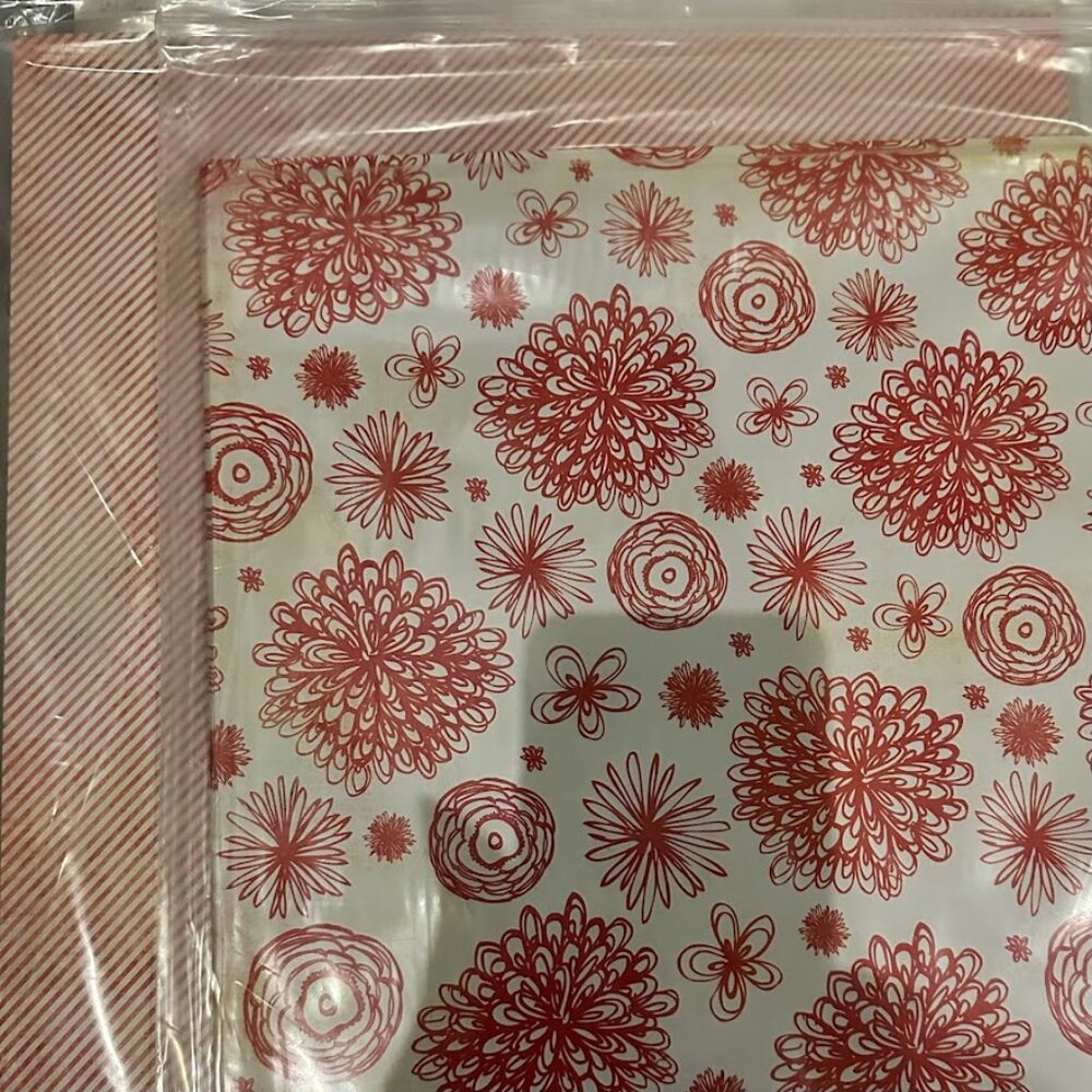 HUGE LOT OF AMAZING RETIRED CARDSTOCK/ 20 PACKS OF 12x12 PAPER/25 SHEETS A PACK - Picture 13 of 16